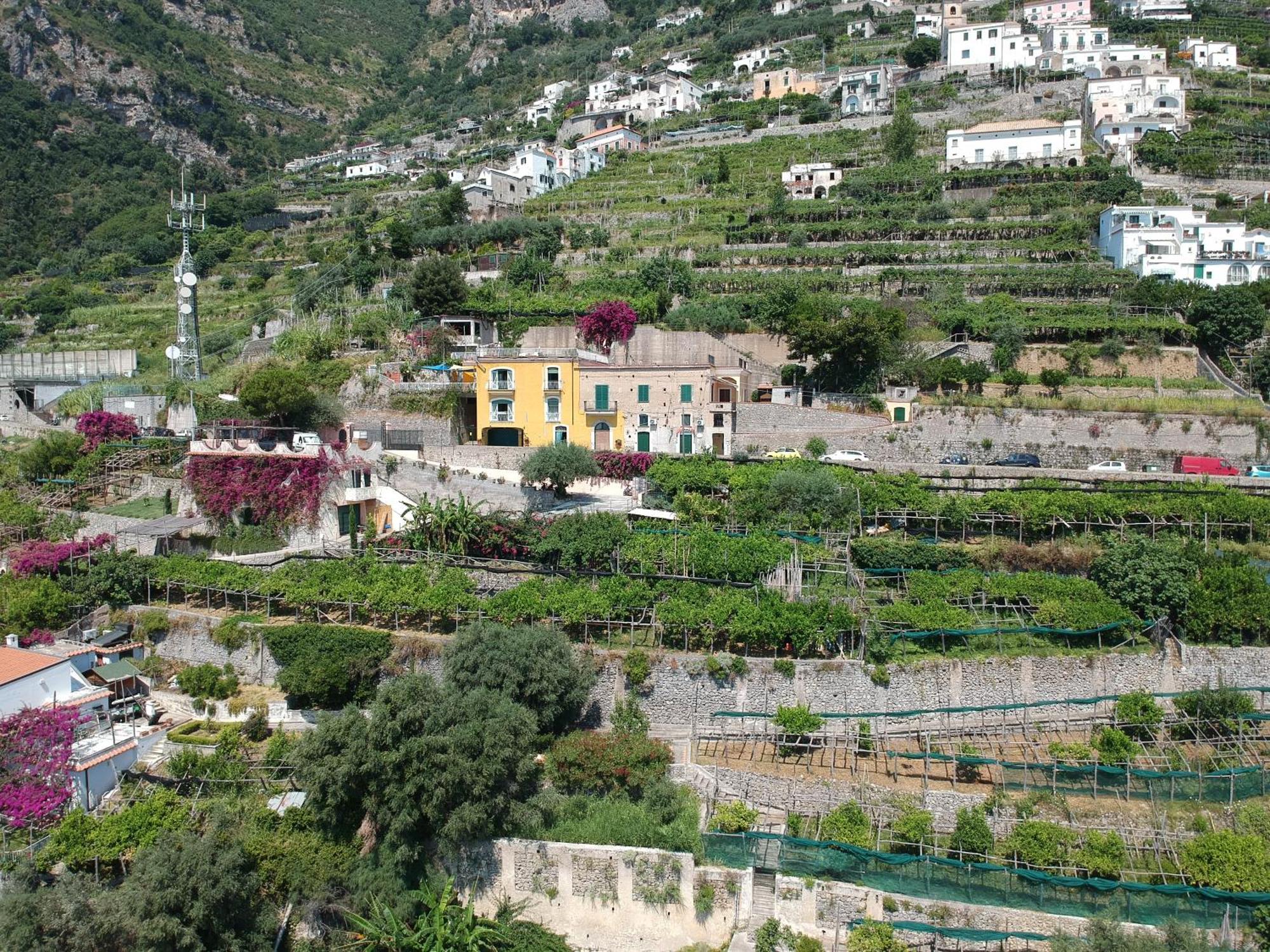 Agriturismo Fuoco D'Amalfi Villa Iazzetta Esterno foto
