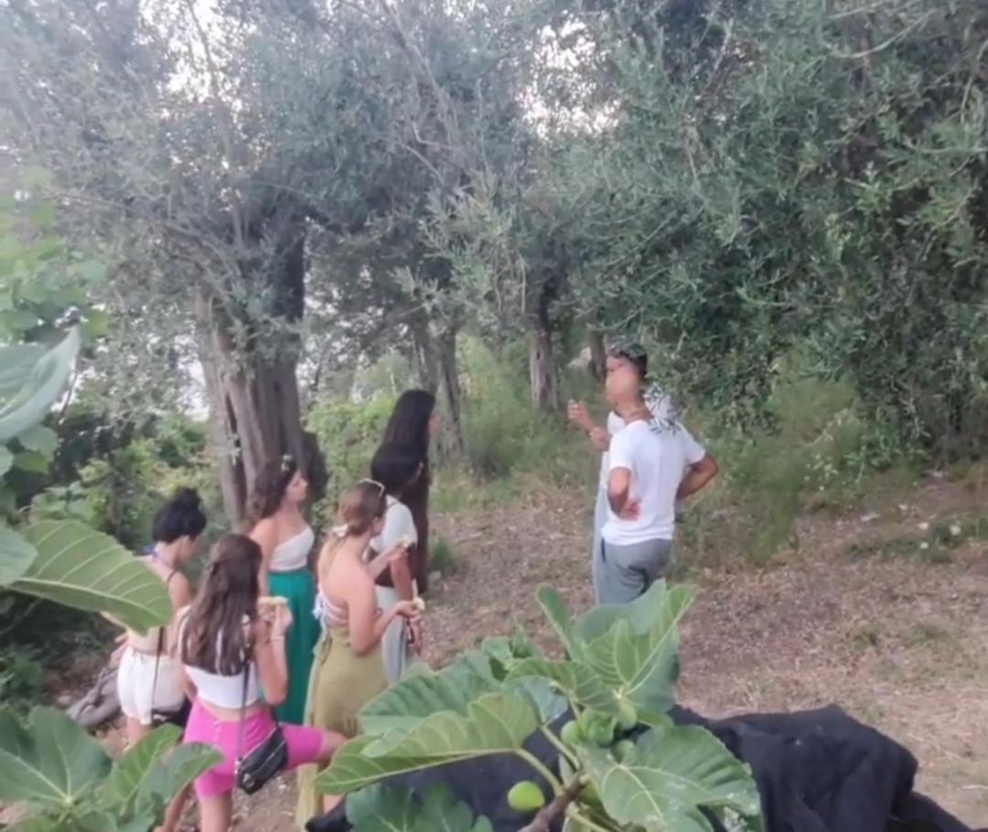 Agriturismo Fuoco D'Amalfi Villa Iazzetta Esterno foto