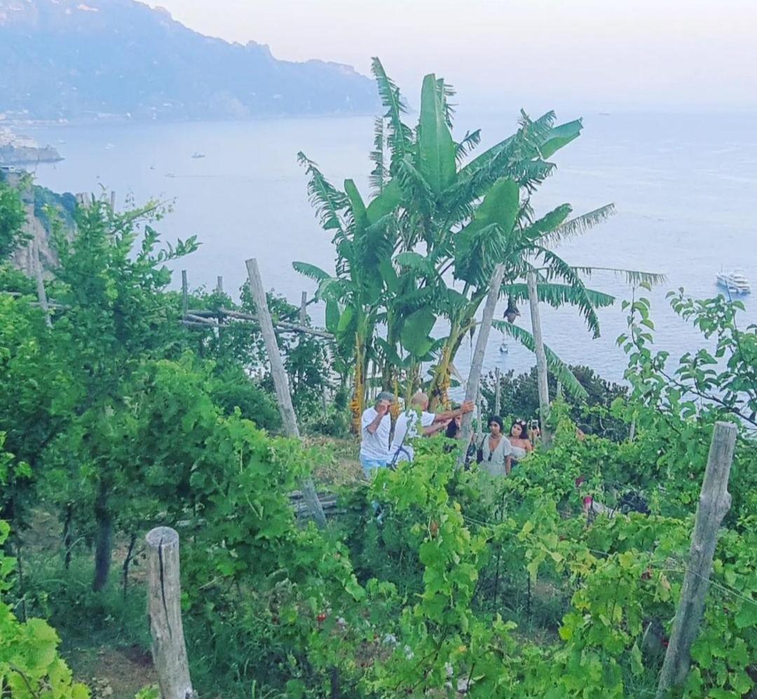 Agriturismo Fuoco D'Amalfi Villa Iazzetta Esterno foto