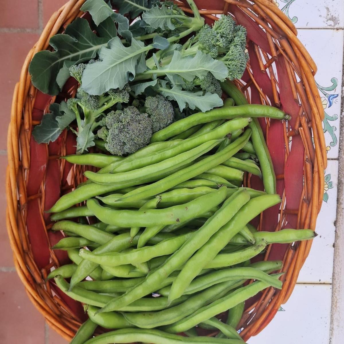 Agriturismo Fuoco D'Amalfi Villa Iazzetta Esterno foto